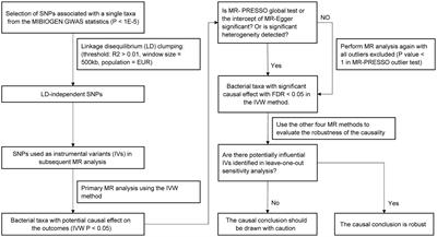 Exploring the causal effects of the gut microbiome on serum lipid levels: A two-sample Mendelian randomization analysis